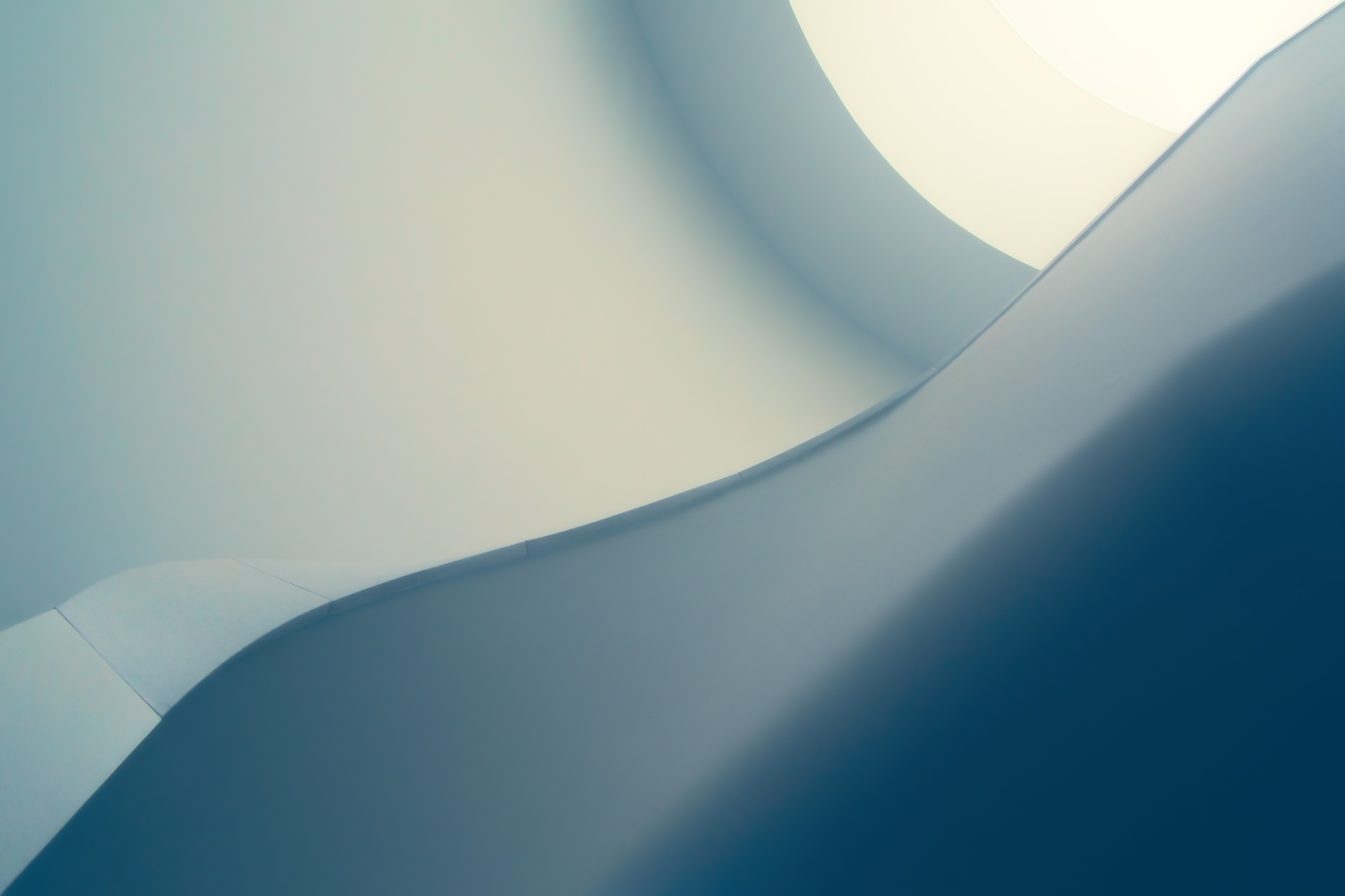 Case study: Australia's CEO Challenge